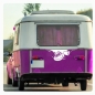 Preview: Schildkröte Sticker Aufkleber Autoaufkleber Cool Sonnenbrille Wohnmobil Aufkleber WoMo107